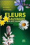Fleurs sauvages en Bretagne